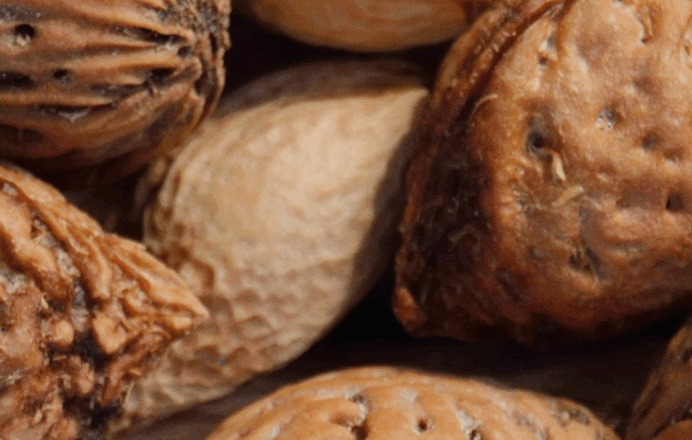 KOLIKO JE DOVOLJNO : Nutricionisti otkrivaju koliko orašastih plodova bi trebalo da jedemo